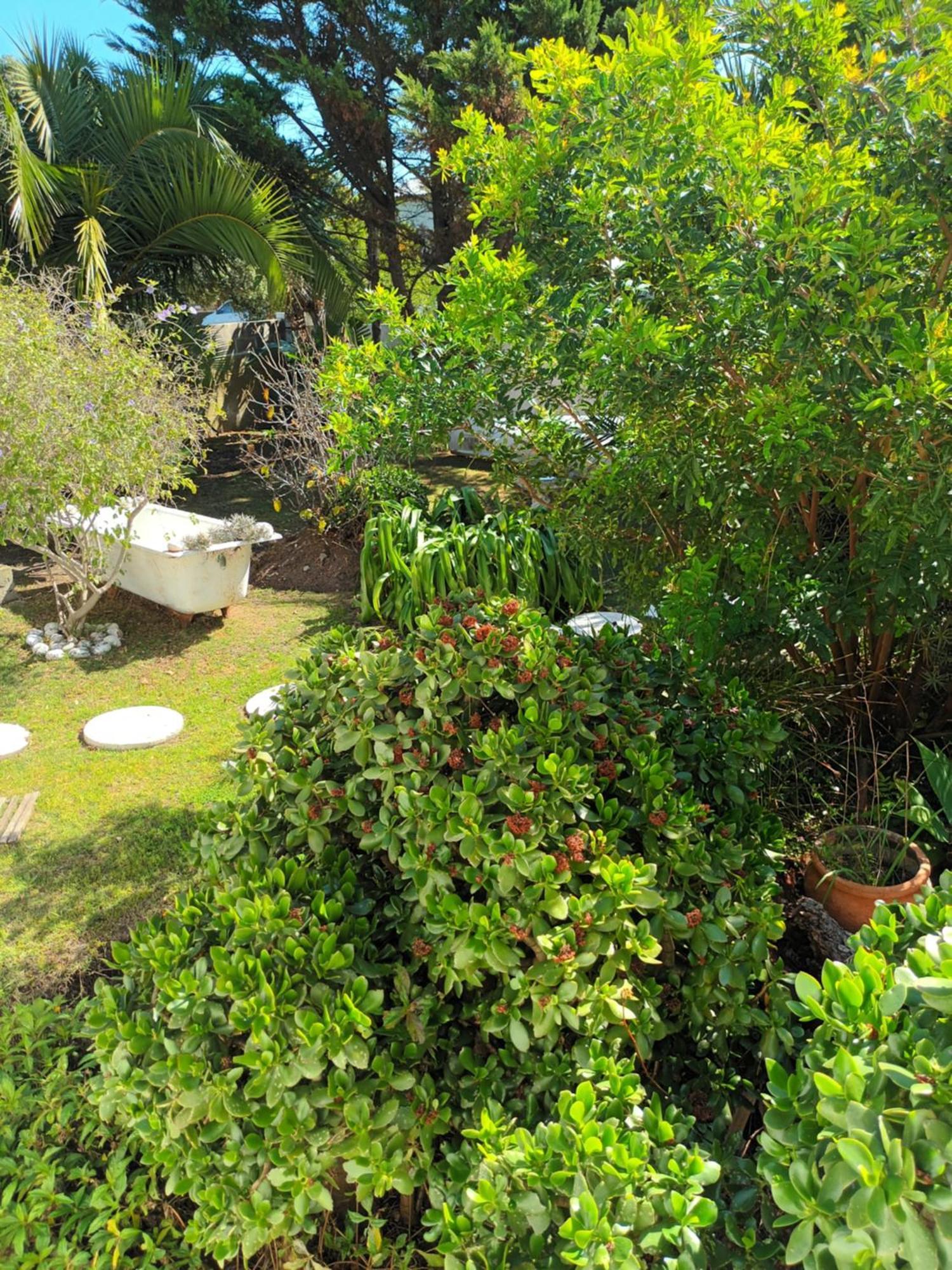 Self Catering Unit 6, Sandbaai Херманус Номер фото